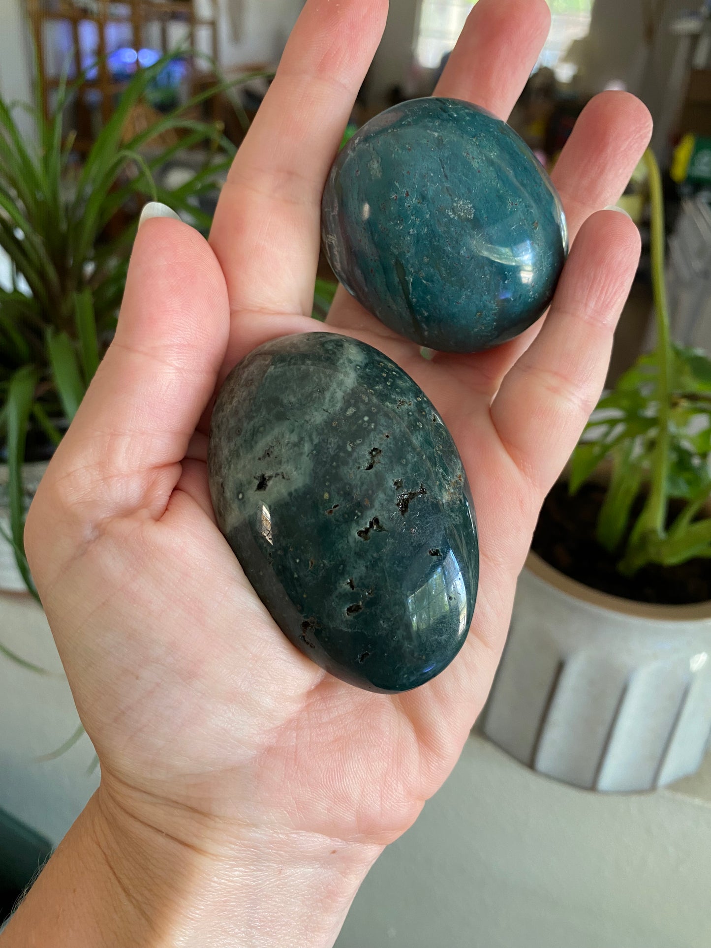 Ocean Jasper Palmstone