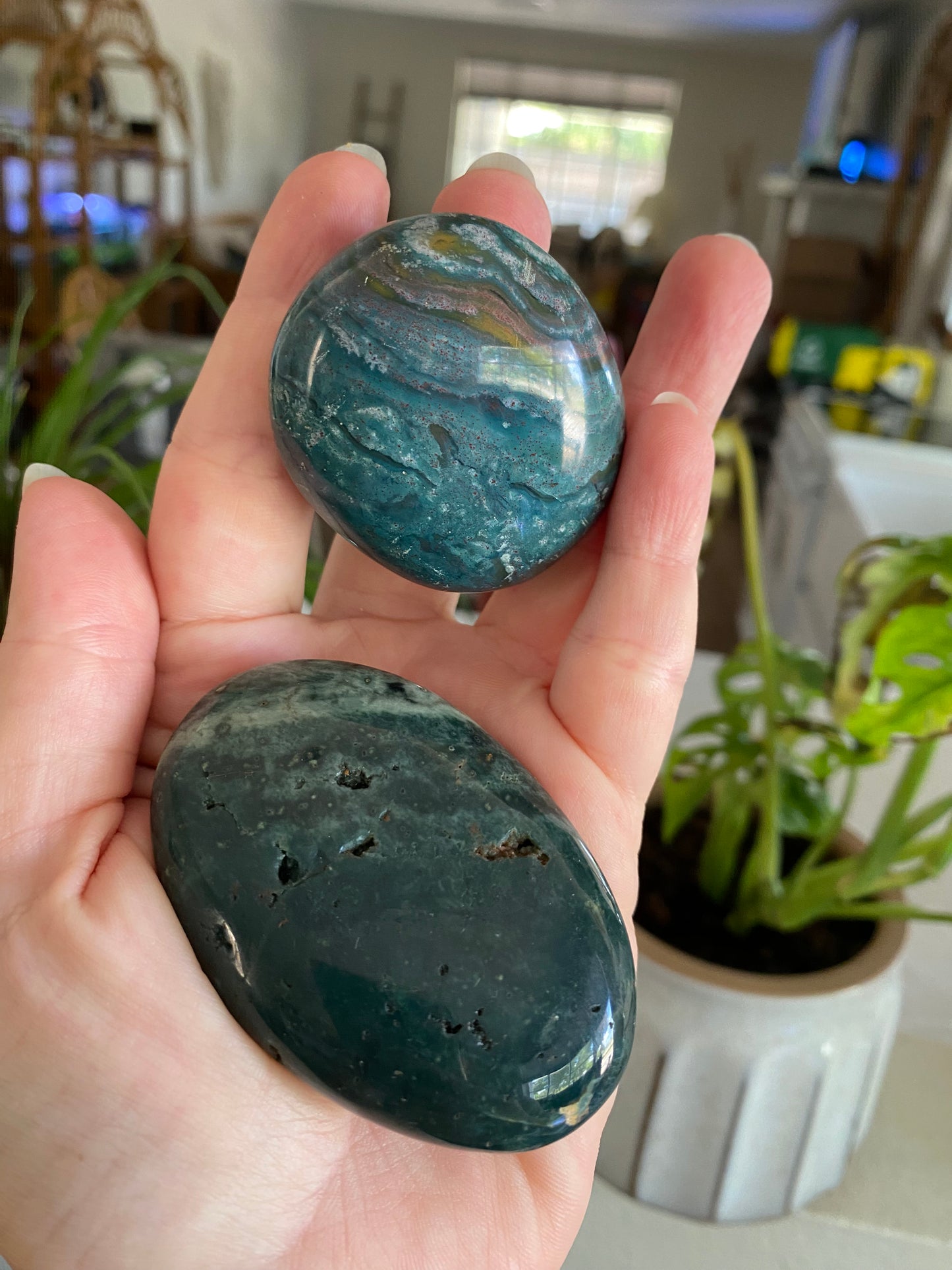 Ocean Jasper Palmstone