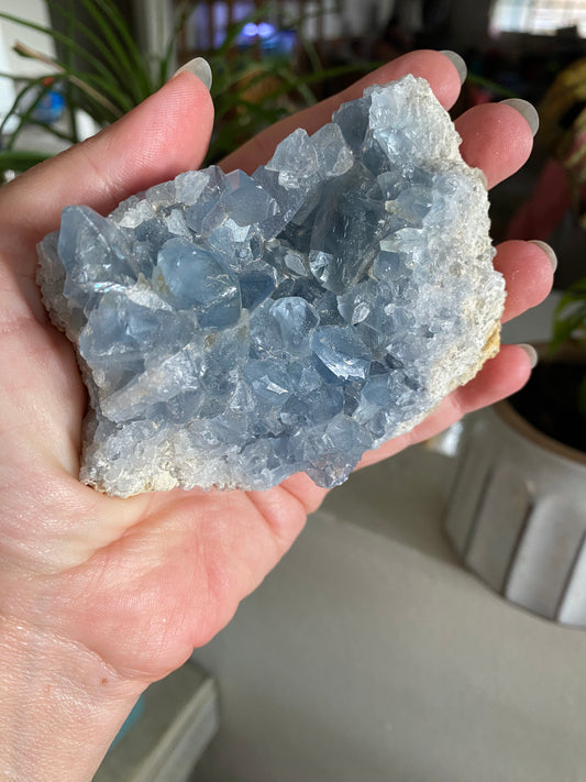 Celestite Geode